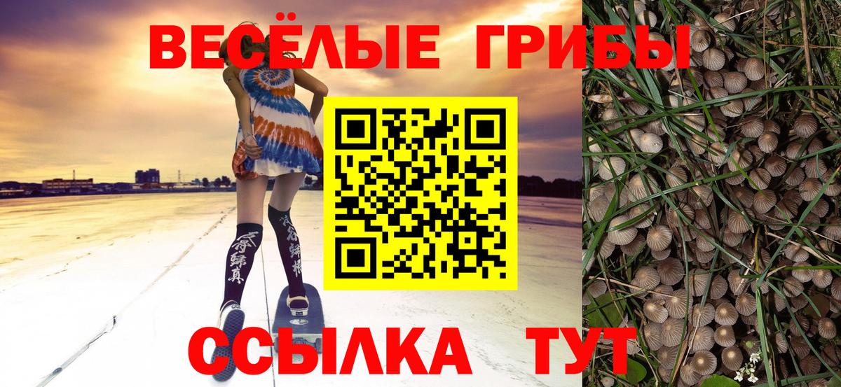 Галлюциногенные грибы прущие грибы  Вход с VPN  Галлюциногенные грибы Magic Shrooms  Россошь 