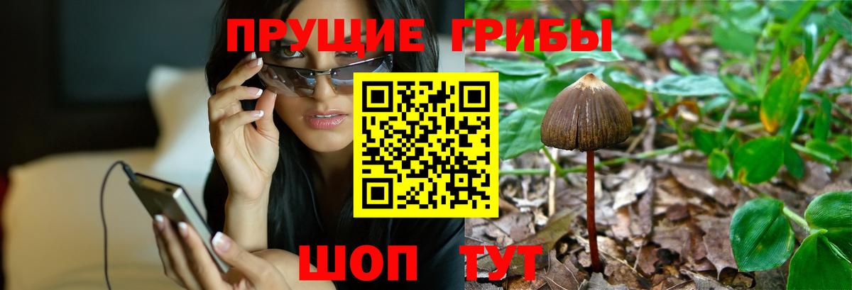 Экстази  Вход с VPN  Россошь  Гашиш  ГАШ  Канабис  Меф МЯУ МЯУ   Alpha PVP СК   MDMA 